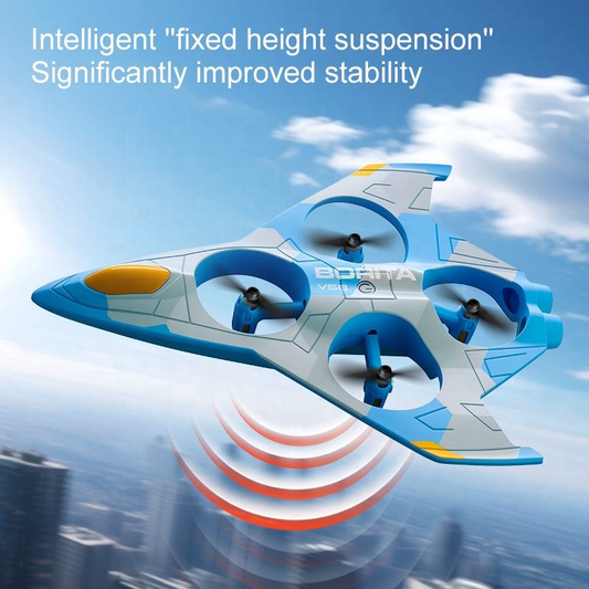 2.4GHz RC V56 Borita Flying Jet Model