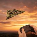 Remote Control Stealth Machine Foam Fighter Jet