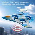 2.4GHz RC V56 Borita Flying Jet Model