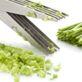 5-Layer Stainless Steel Herb & Vegetable Scissors