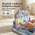 Captain Seal Themed Baby Musical Piano Play Gym