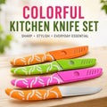 Colorful Kitchen Knife Set with Blade Covers, 4 Pieces