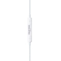 Italio Tech EarPods Type-C iPhone 15 & Android Supported Handsfree