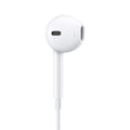 Italio Tech EarPods Type-C iPhone 15 & Android Supported Handsfree