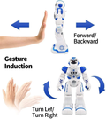 Remote & Induction Control BOT300W Robot
