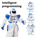 Remote & Induction Control BOT300W Robot