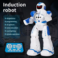 Remote & Induction Control BOT300W Robot